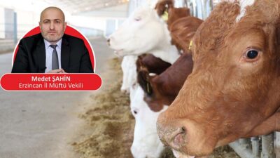 Diyanet İşleri Başkanlığı,  2025 vekâletle kurban bedellerini yurt içinde 13.500