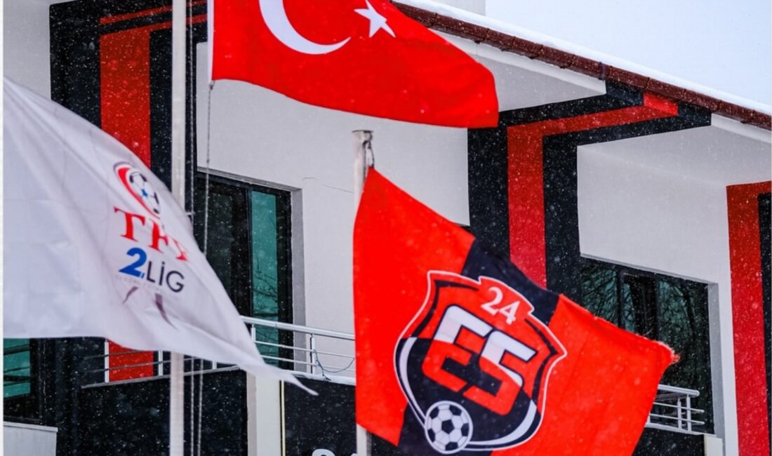 Türkiye Futbol Federasyonu (TFF), profesyonel liglerde yürütülen geniş kapsamlı bahis