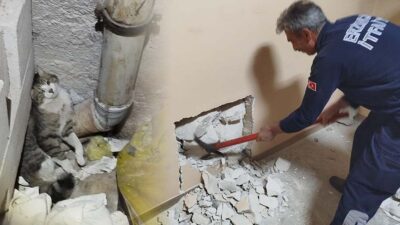 Erzincan’da, Eski Araştırma Hastanesi Diyaliz Bölümü’nün havalandırma boşluğunda mahsur kalan