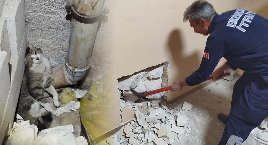 Erzincan’da, Eski Araştırma Hastanesi Diyaliz Bölümü’nün havalandırma boşluğunda mahsur kalan