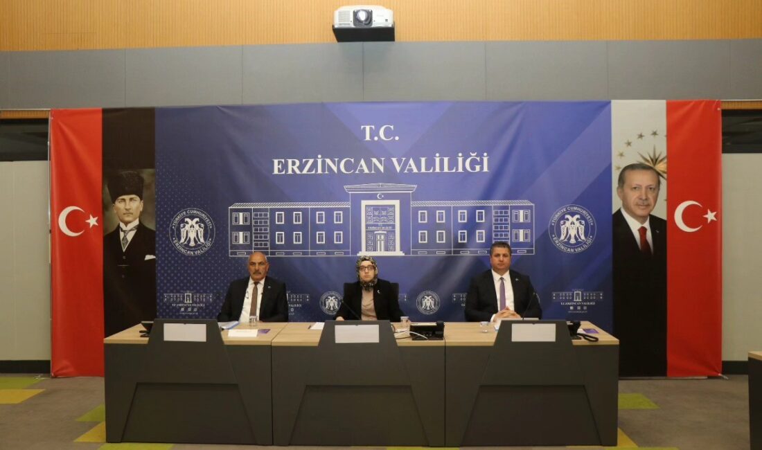Erzincan’da kadına yönelik şiddetle mücadele çalışmaları, 2025 yılı 1. Dönem