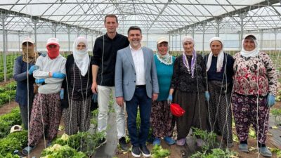 AK Parti Erzincan İl Başkanı Alpay Kabadayı, kentte bulunan bir