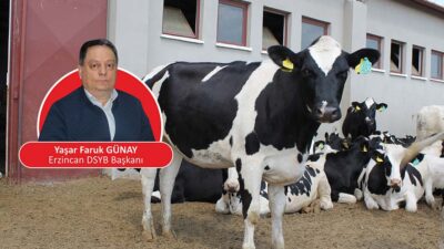 Erzincan Damızlık Sığır Yetiştiricileri Birliği Başkanı (DSYB) Yaşar Faruk GÜNAY,