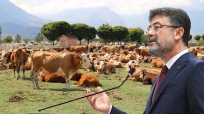 Tarım ve Orman Bakanı İbrahim Yumaklı, yaklaşan Kurban Bayramı öncesinde