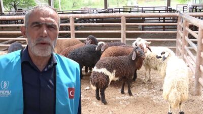 Erzincan Sivil Toplum Platformu ve ERDAV Vakfı, Kurban Bayramı’nda Afrika’dan