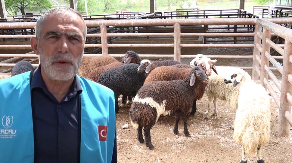 Erzincan Sivil Toplum Platformu ve ERDAV Vakfı, Kurban Bayramı’nda Afrika’dan