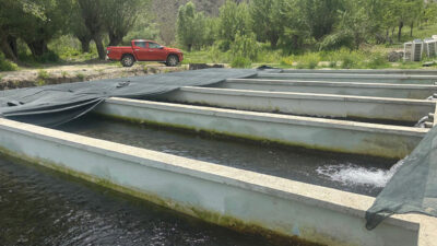 Erzincan’ın Kemah ilçesinde faaliyet gösteren ve bölgenin önemli su ürünleri