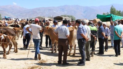 Erzincan İl Müftülüğü, Kurban Bayramı’nda ibadetin usulüne uygun yerine getirilmesi