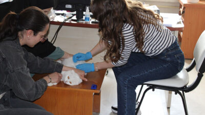 Evcil hayvanlara mikroçip takma zorunluluğu kapsamında Erzincan’ın Tercan ilçesinde çalışmalar