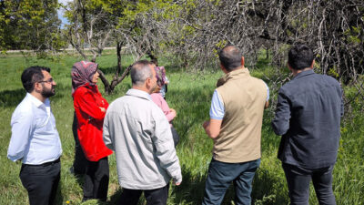 Erzincan’da Mart ayı içerisinde meydana gelen ve son yılların en