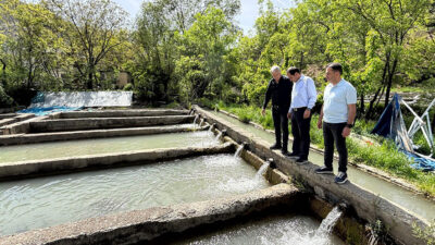 Erzincan’ın temiz ve soğuk su kaynakları, alabalık üretiminde avantaj sağlıyor.