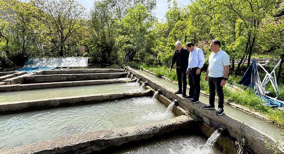 Erzincan’ın temiz ve soğuk su kaynakları, alabalık üretiminde avantaj sağlıyor.