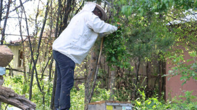 Erzincan’da zorlu geçen kışın ardından doğa yeniden umut verdi. Erzincan’da