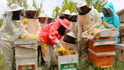 Erzincan, Munzur Dağları’nın zengin florası ve verimli iklimi sayesinde yılda