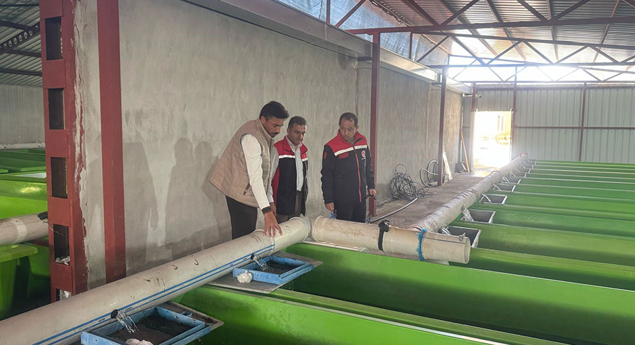 Tarımda bitkisel ve hayvansal üretimin yanı sıra su ürünleri alanında