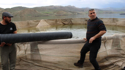 Erzincan’ın Tercan ilçesinde bulunan Tercan Barajı’nda başlatılan alabalık üretim faaliyetleri