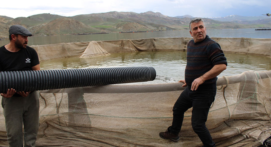 Erzincan’ın Tercan ilçesinde bulunan Tercan Barajı’nda başlatılan alabalık üretim faaliyetleri