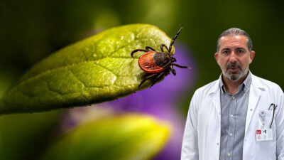 Kene tehlikesi kapıda! Prof. Dr. Faruk Karakeçili, KKKA vakalarının haziran-temmuzda