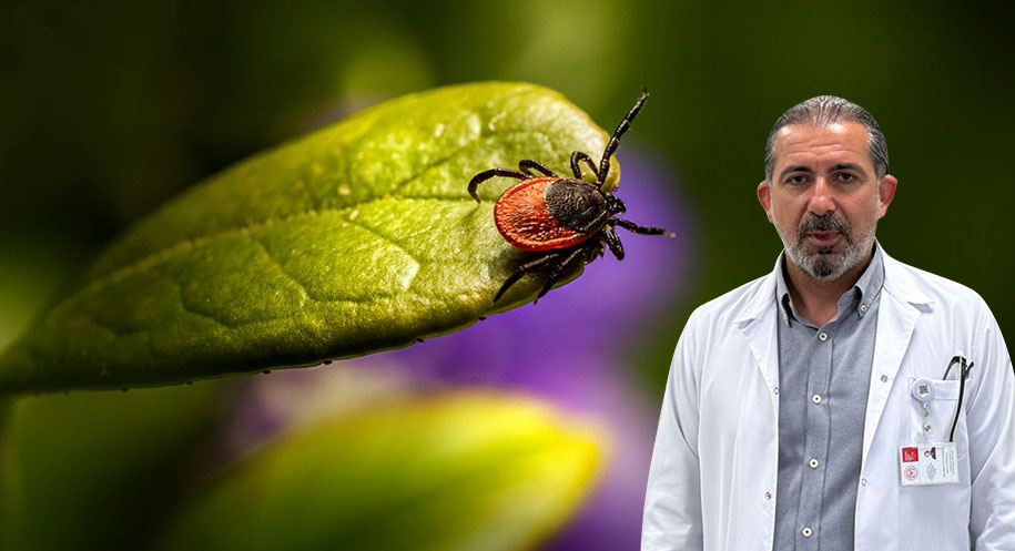 Kene tehlikesi kapıda! Prof. Dr. Faruk Karakeçili, KKKA vakalarının haziran-temmuzda