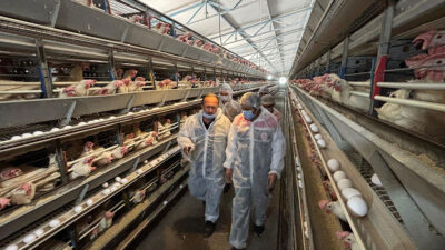 Erzincan’da köklü bir geçmişe sahip olan ve bölge ekonomisine önemli