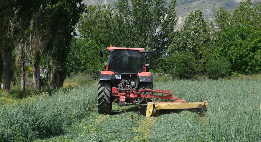 Erzincan Belediyesi, Ziraat Mühendisleri kontrolünde uygulama tarlalarında yem bitkilerinin biçimine