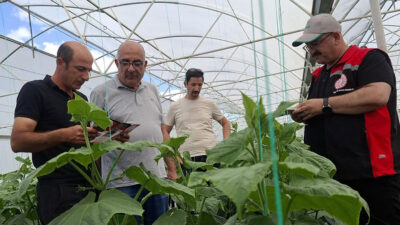 Tarım ve Orman Bakanlığı’nın 2025’i “Pestisit Kalıntısı ile Mücadele Yılı”