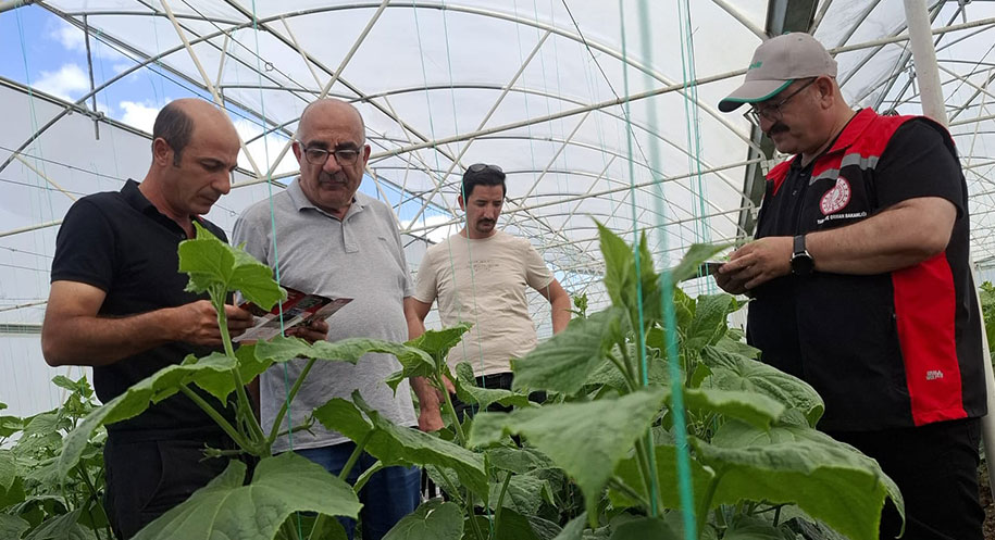 Tarım ve Orman Bakanlığı’nın 2025’i “Pestisit Kalıntısı ile Mücadele Yılı”