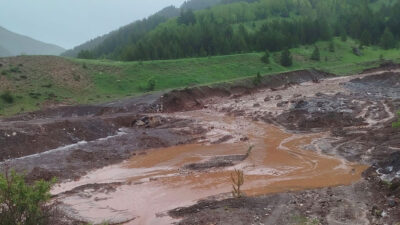 Erzincan’ın Refahiye ilçesine bağlı Kızıleniş Köyü Tosunlu Küme Evleri mezrasında,