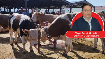 Erzincan’da Kurban Bayramı’nda büyükbaş kurbanlık satışlarında yaklaşık yüzde 80 oranında