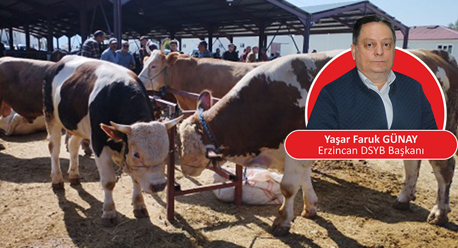 Erzincan’da Kurban Bayramı’nda büyükbaş kurbanlık satışlarında yaklaşık yüzde 80 oranında