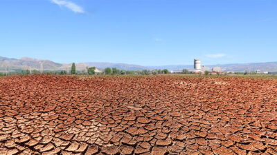 TMO’nun Mayıs 2025 Fenolojik Değerlendirme Raporu, Türkiye’de hububat ve bakliyat