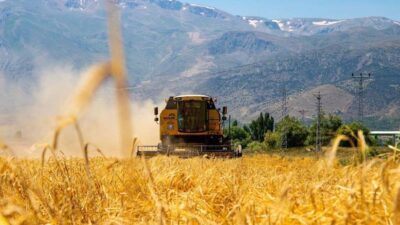 TMO, 2025 hububat sezonunda çiftçilere büyük destek! Buğday 13.500 TL/ton,