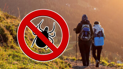 Erzincan İl Tarım ve Orman Müdürlüğü, uyarıyor: Yaz aylarında artan