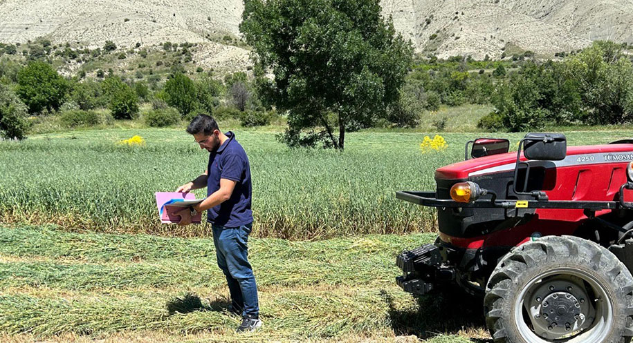 Erzincan’da son yıllarda yem bitkisi ekiliş alanlarında dikkat çekici bir