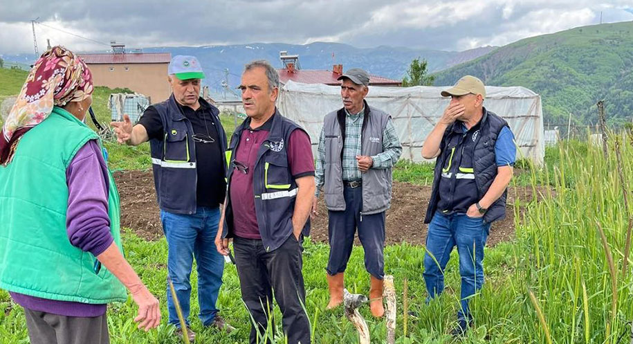 Refahiye’ye bağlı köylerde çekirge istilasına karşı harekete geçen teknik ekipler,
