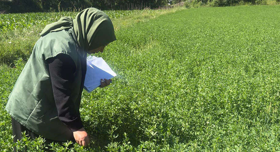 Erzincan’ın Refahiye ilçesinde, Tarım ve Orman Bakanlığı tarafından desteklenen Tarım
