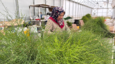 Erzincan TKDK, organize sera bölgesinde yapılacak yatırımlar için faydalanıcılarla ödeme