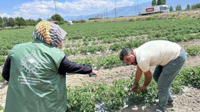 Erzincan’ın Üzümlü ilçesinde, tarım üretiminin sürdürülebilirliğini sağlamak ve ürün kayıplarını