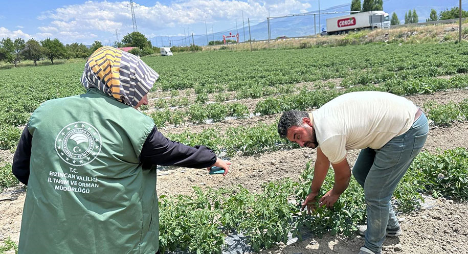 Erzincan’ın Üzümlü ilçesinde, tarım üretiminin sürdürülebilirliğini sağlamak ve ürün kayıplarını