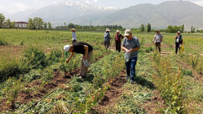 Erzincan’da tarım sezonuyla birlikte bitkisel ve hayvansal üretim alanlarında hastalık