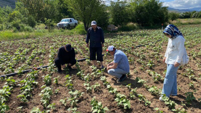 Erzincan’da Tarım Arazilerinin Kullanımının Etkinleştirilmesi Projesi kapsamında 29 proje hayata