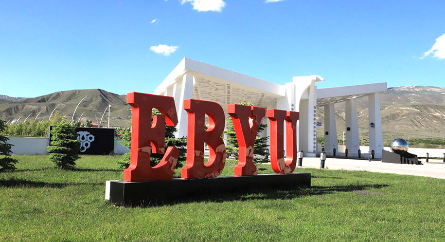 Erzincan Binali Yıldırım Üniversitesi, Times Higher Education (THE) 2025 Etki