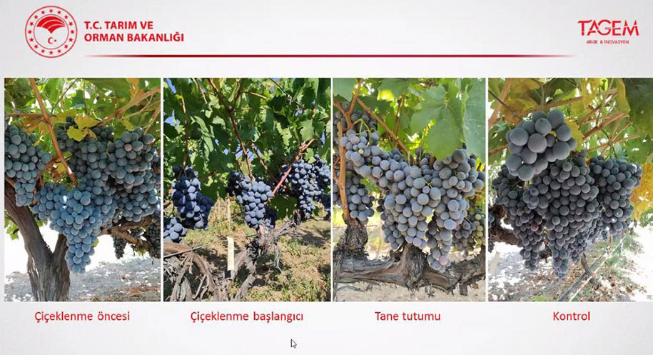 Tarım ve Orman Bakanlığı’na bağlı enstitüler ile il müdürlükleri arasındaki