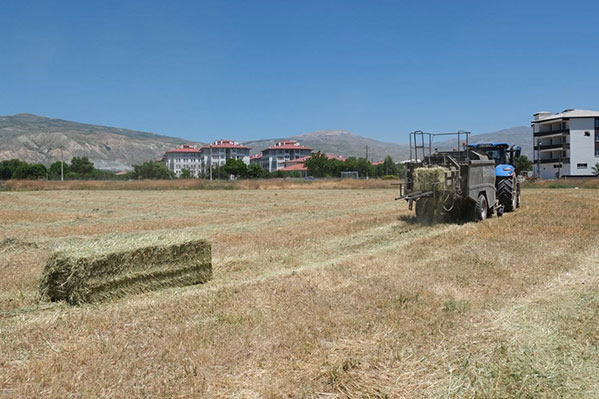 Erzincan Belediyesi Park ve Bahçeler Müdürlüğü, kent genelinde yürüttüğü tarımsal