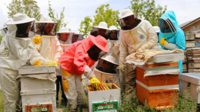 KUDAKA’nın teknik destek programıyla Erzincan, Erzurum ve Bayburt’ta 11 proje