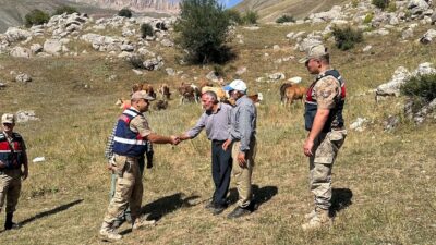 Erzincan’ın Üzümlü ilçesinde 4 gündür kayıp olan 17 büyükbaş hayvan,