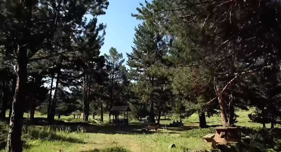 Erzincan’da orman yangınlarını önlemek için 15 Temmuz’dan itibaren ciddi yasaklar
