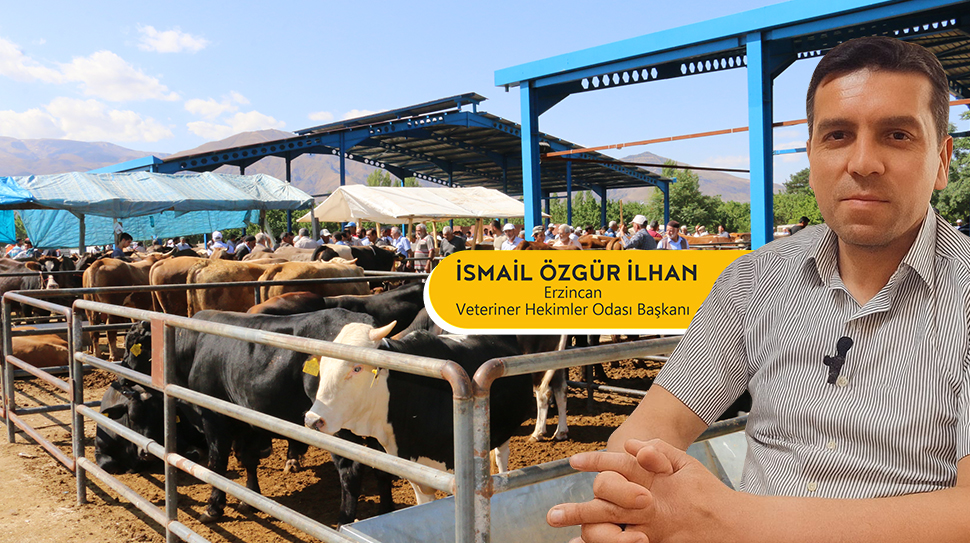 Kurban Bayramı sonrası artan hayvan hareketliliği, şap virüsünün yayılımını hızlandırdı.