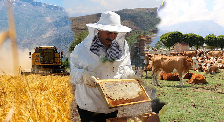 Erzincan Tarım ve Orman İl Müdürlüğü, 2025’in ilk yarısında tarım