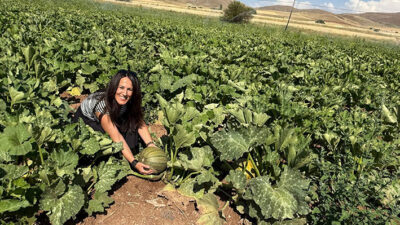  Erzincan’ın tarım potansiyeli yüksek ilçelerinden biri olan Tercan’da ürün çeşitliliği